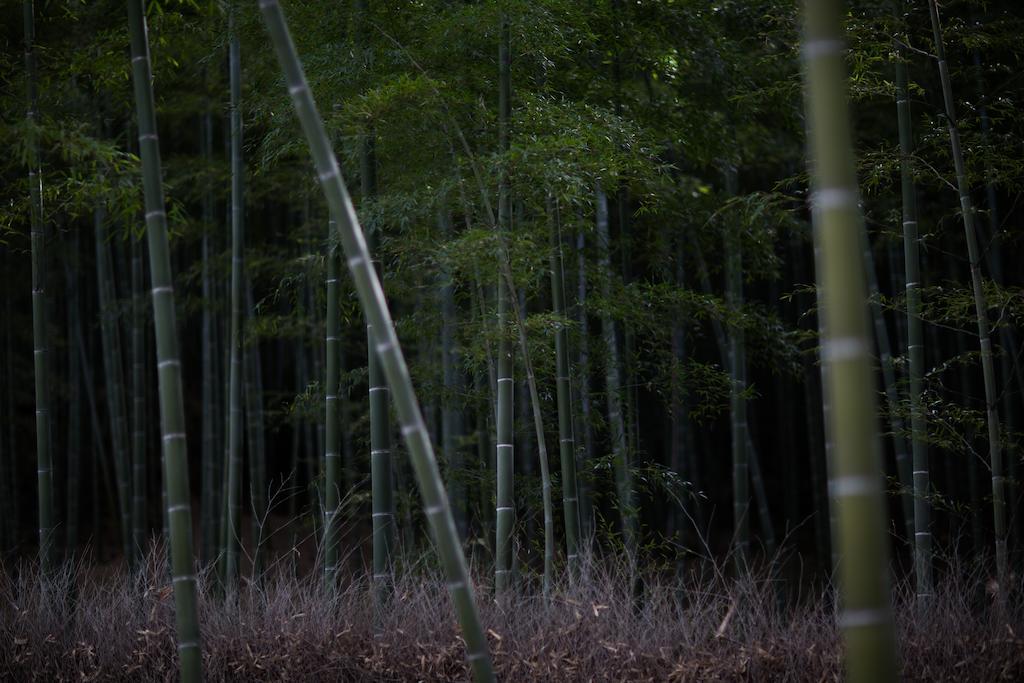 Kyoto Fushimi Ohana Muko Eksteriør billede