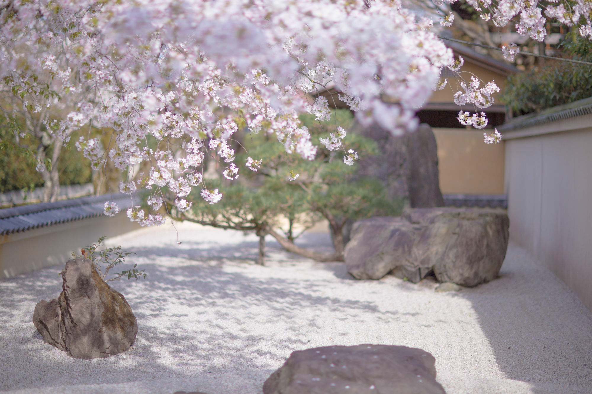 Kyoto Fushimi Ohana Muko Eksteriør billede